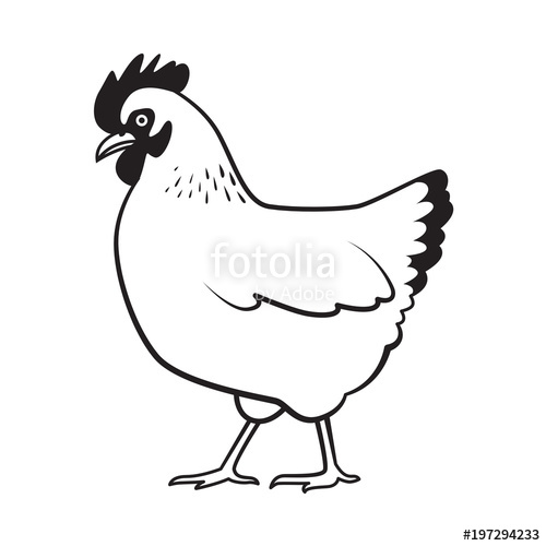 500x500 Graphic Chicken, Vector Stock Image And Royalty Free Vector