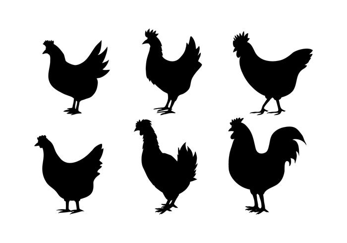 700x490 Chicken Free Vector Art