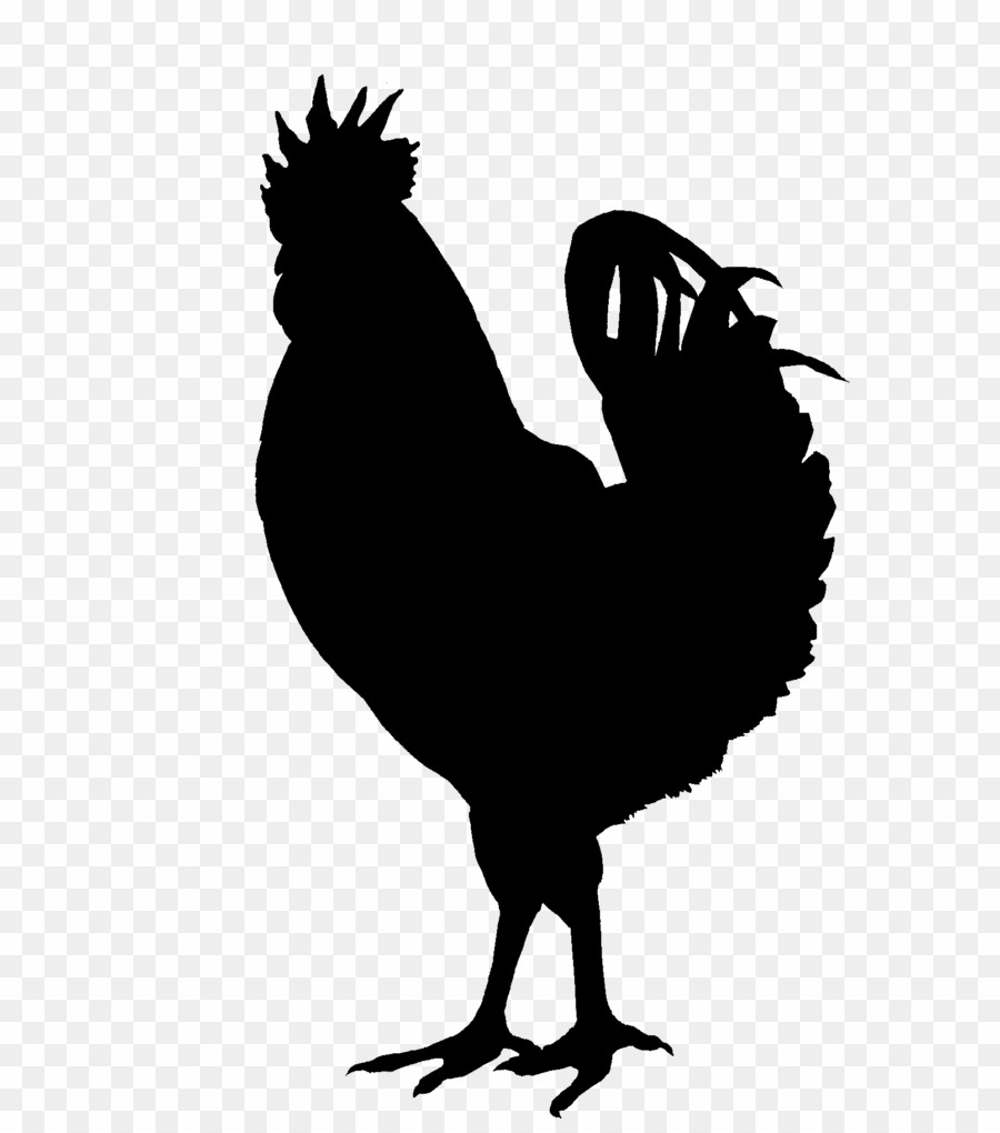 Chicken Vector Graphics Download 900x1020 Chicken Vector Graphics Download