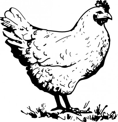 Download Chicken Vector For Download About Hd Photo Clipart Png 410x425 Download Chicken Vector For Download About Hd Photo Clipart Png