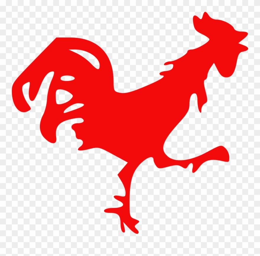 Hen Vector Rooster 880x867 Hen Vector Rooster