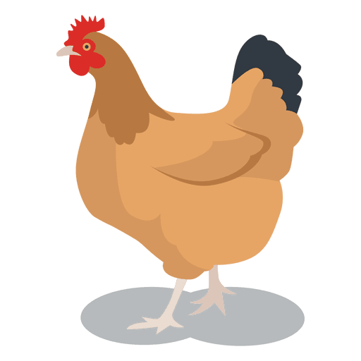 Hen Feathered Animal 512x512 Hen Feathered Animal