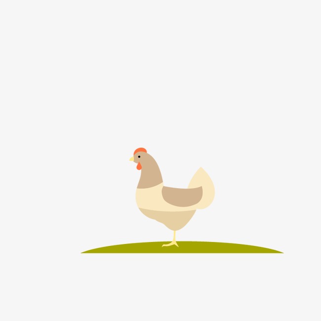 Chicken Farm, Chicken Vector, Farm Vecto 650x650 Chicken Farm, Chicken Vector, Farm Vecto