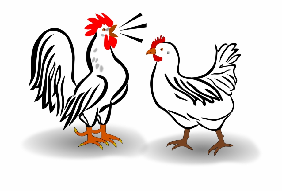 This Free Icons Png Design Of Rooster And Chicken 920x625 This Free Icons Png Design Of Rooster And Chicken