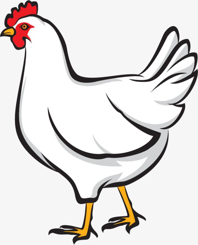 Vector Painted Old Hen, Vector, Hand Painted, Old Hen Png 650x803 Vector Painted Old Hen, Vector, Hand Painted, Old Hen Png