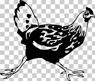 Chicken Vector Cliparts Png Images, Chicken Vector Cliparts 310x264 Chicken Vector Cliparts Png Images, Chicken Vector Cliparts