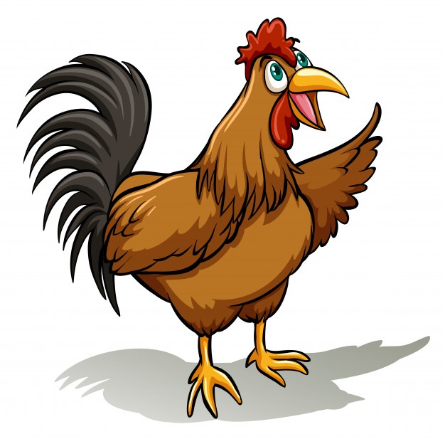 626x617 Chicken Wings Vectors, Photos And Free Download