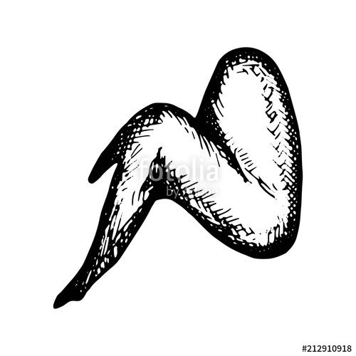 500x500 Chicken Wings Fried Isolated On White Background Stock Image