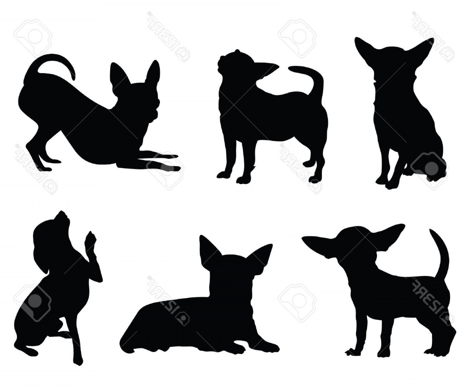 Free Free 285 Chihuahua Silhouette Svg Free SVG PNG EPS DXF File