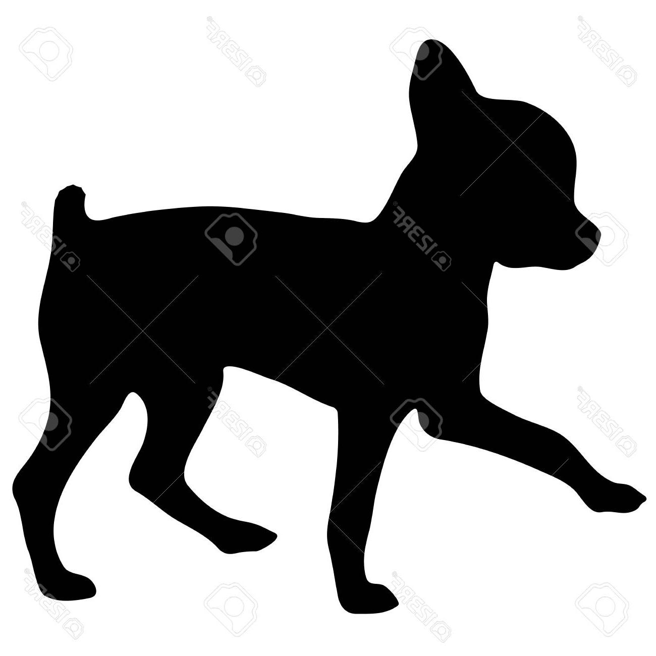 1300x1300 Hd Black And White Chihuahua Vector Cdr Free Vector Art, Images