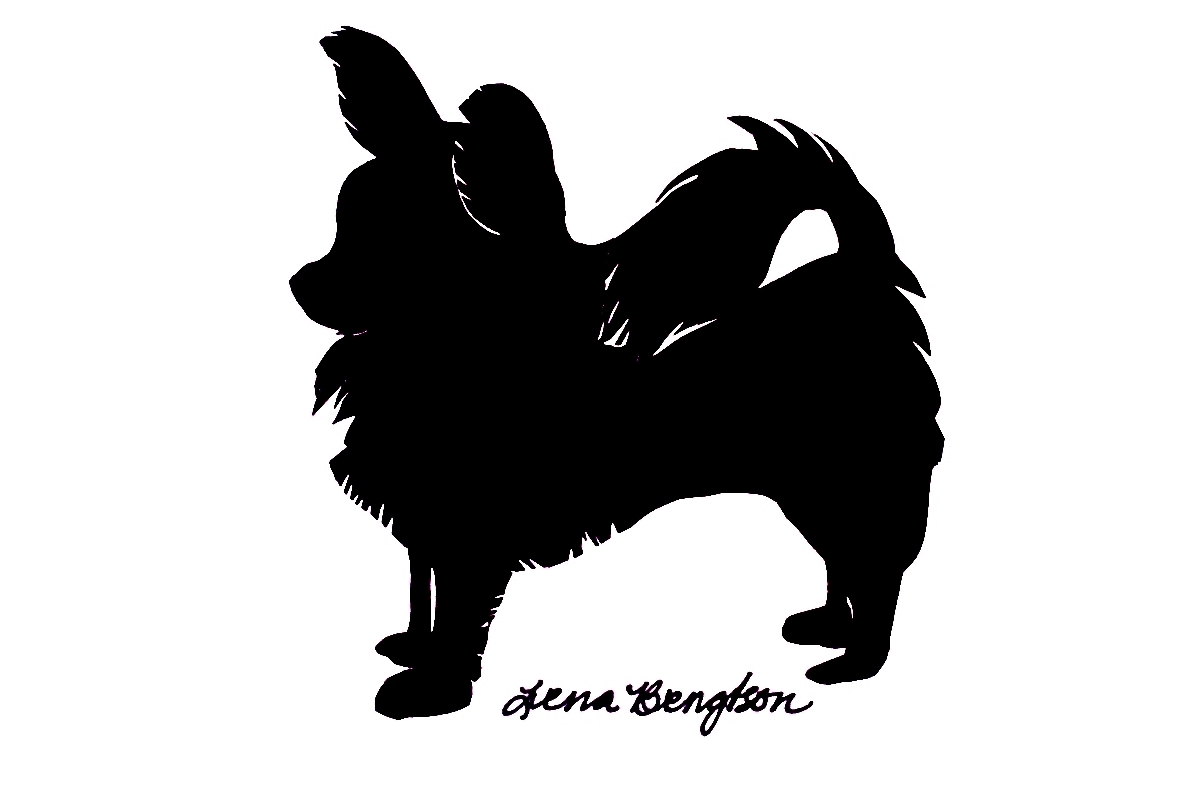 1192x792 Long Hair Chihuahua Silhouette