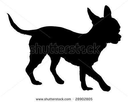 450x360 Silhouette Of A Dog Of Breed Chihuahua