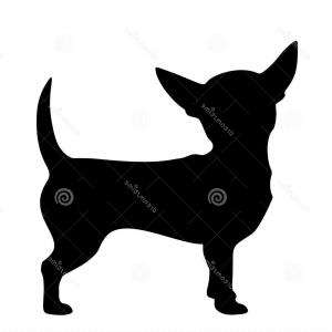 300x300 Stock Illustration Chihuahua Dog Vector Black Silhouette White