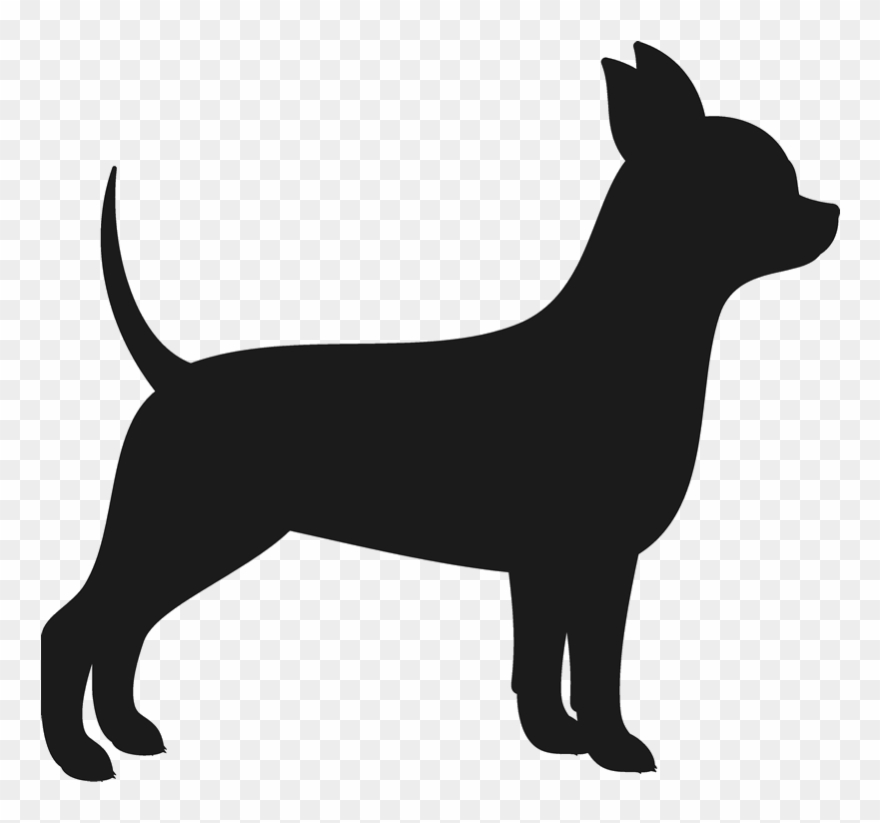 880x823 Vector Royalty Free Chiwawa Drawing Chiweenie