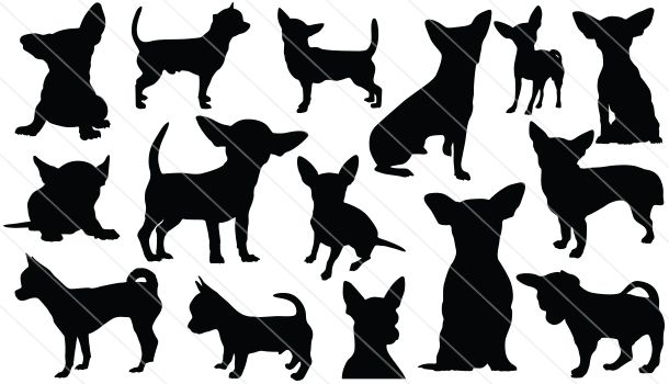 610x350 Chihuahua Silhouette Vector Graphics Chihuahua Chihuahua