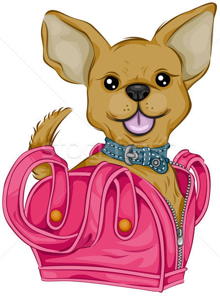 446x600 Chihuahua Vector Illustration Lenm