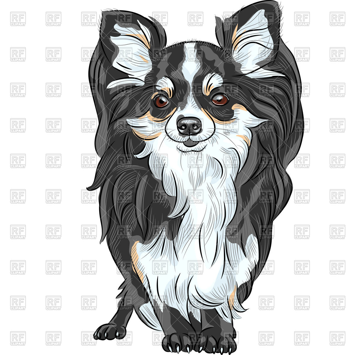 1200x1200 Cute Chihuahua Vector Image Of Plants And Animals