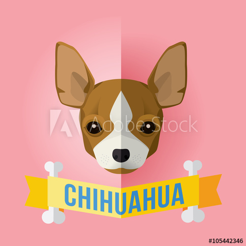 500x500 Image Of A Dog's Face Chihuahua Vector Illustration