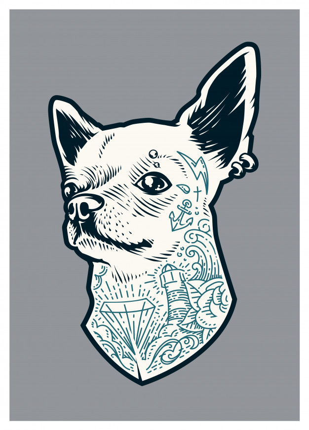 626x872 Tattooed Chihuahua Vector Free Download