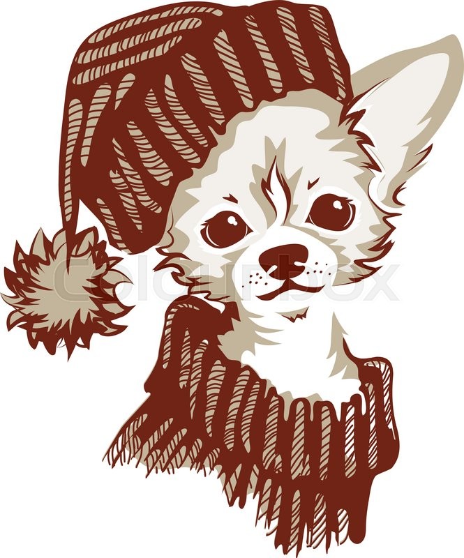 665x800 The Head Of Chihuahua Dog Dog Vector Stock Vector Colourbox