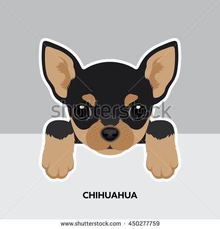 450x470 Vector Illustration Portrait Of Chihuahua Puppy Dog Isolated