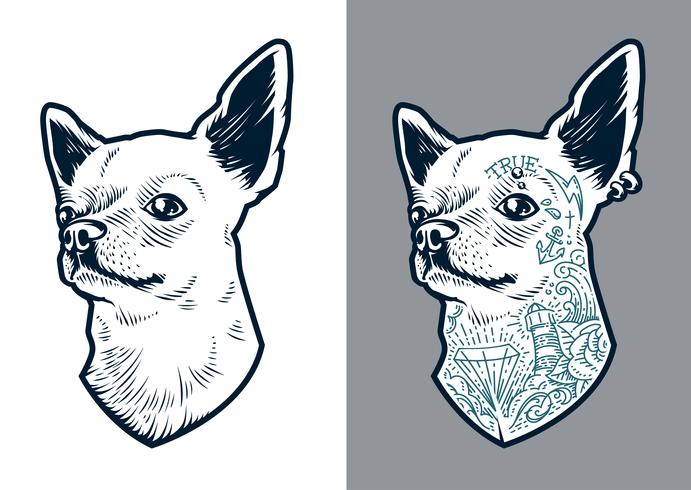 691x490 Chihuahua Vector Dog
