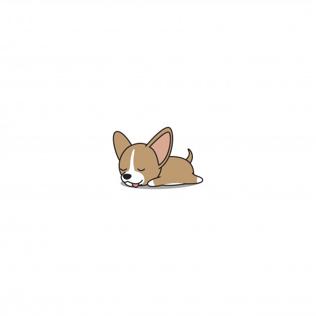 626x626 Chihuahua Vectors, Photos And Free Download