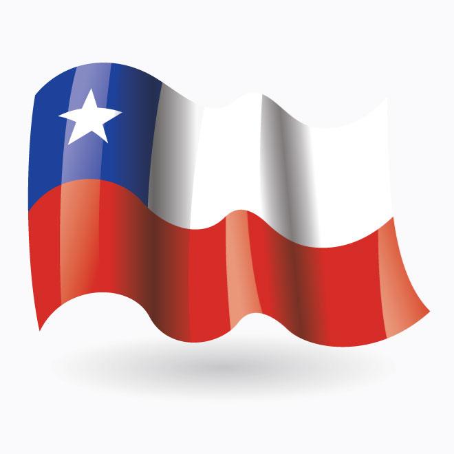 660x660 Republic Of Chile Flag