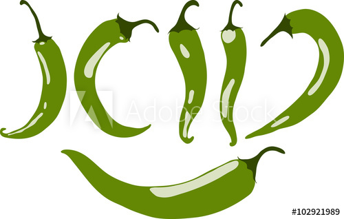 500x318 Green Chili Pepper, Vector Illustration, Isolated, On White