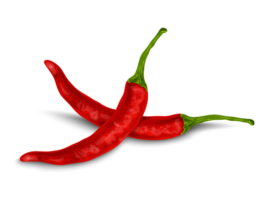 520x400 Page Chili On Curated Vector Illustrations, Stock Royalty Free
