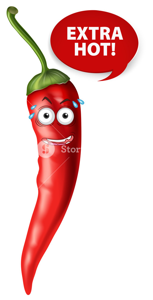 513x1000 Red Hot Chili Vector On White Background Royalty Free Stock Image