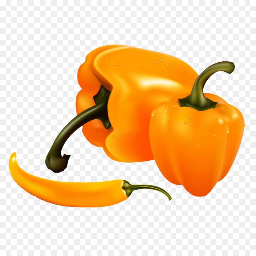 1080x1080 Pepper Vector Clip Hoodamathrun