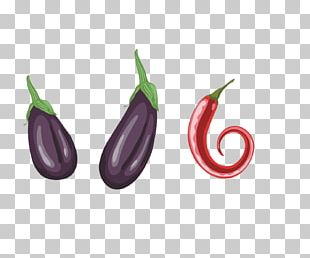 310x258 Chili Vector Png Images, Chili Vector Clipart Free Download