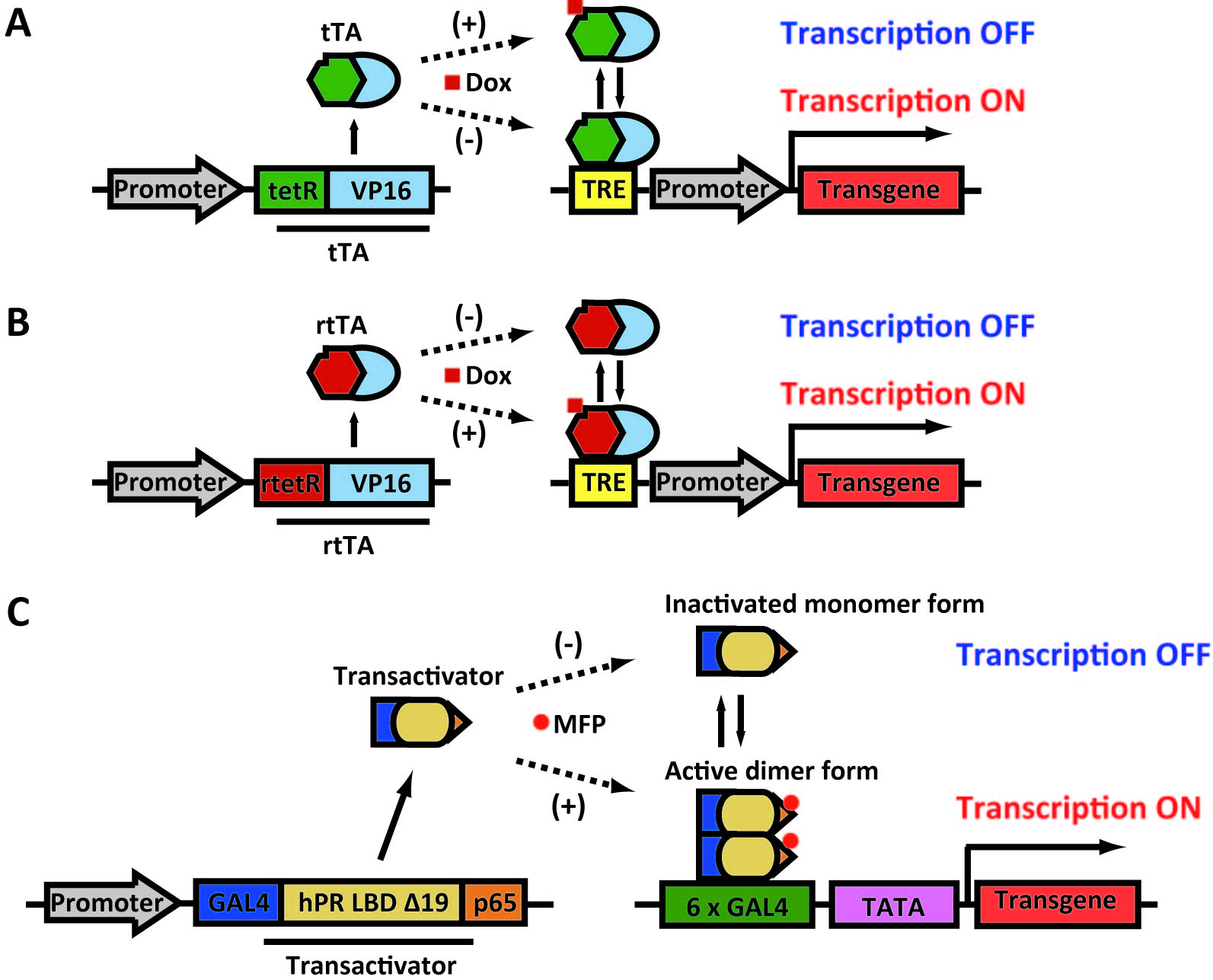 Gene Regulatable Lentiviral Vector System Intechopen 1593x1287 Gene Regulatable Lentiviral Vector System Intechopen