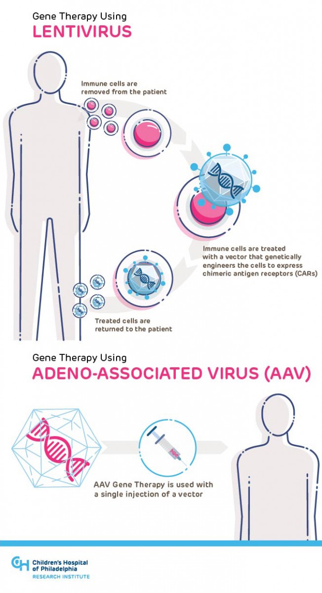 The Science Behind Gene Therapy Creating Breakthroughs One Gene 652x1200 The Science Behind Gene Therapy Creating Breakthroughs One Gene