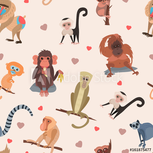 500x500 Different Cartoon Monkey Breed Character Animal Wild Zoo Cute Ape