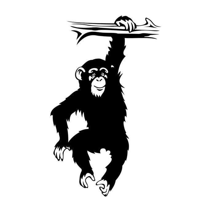 690x690 Monkey Chimpanzee Bough Graphics Design