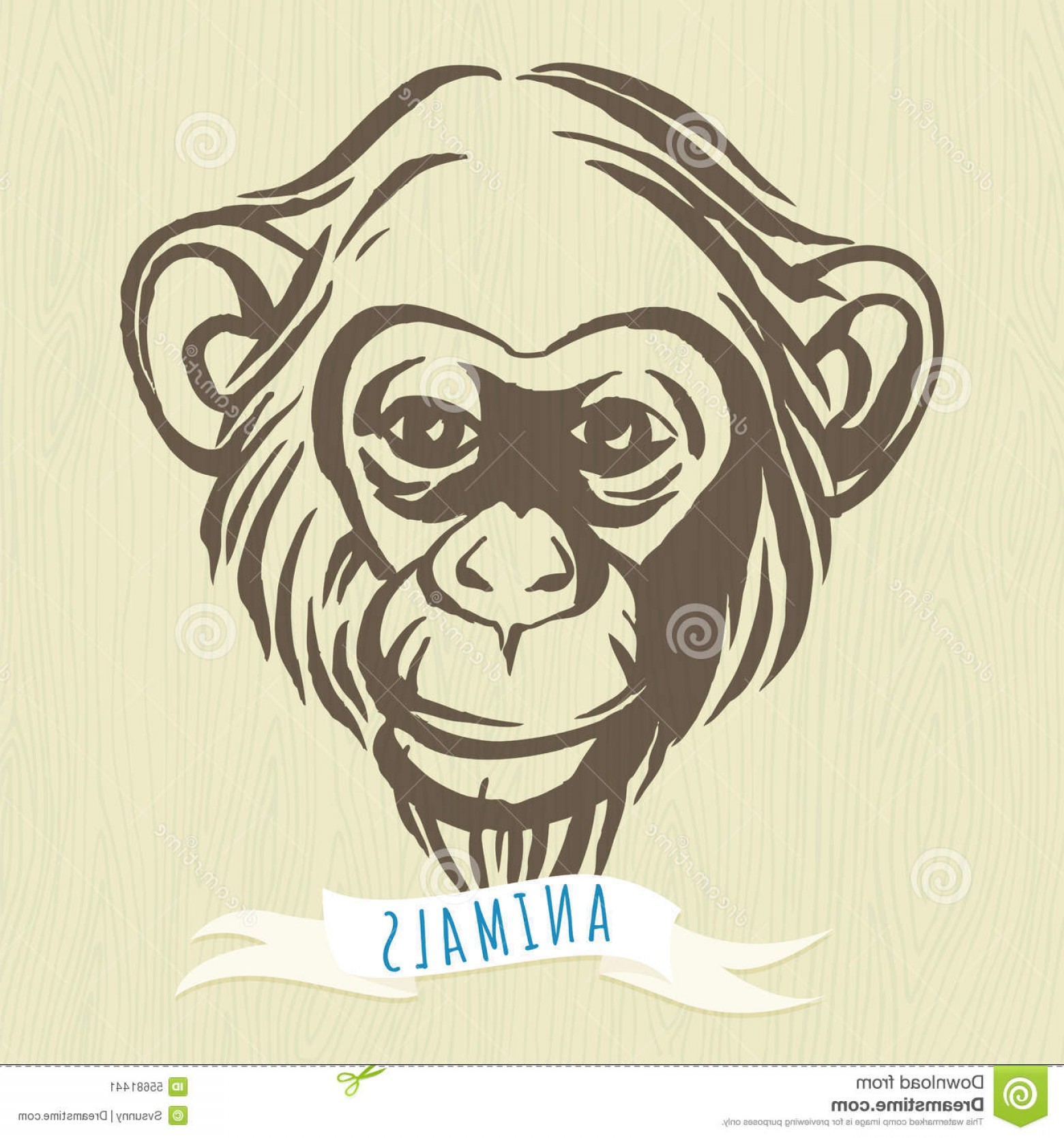 1560x1668 Stock Illustration Hand Drawn Portrait Monkey Chimpanzee Vector