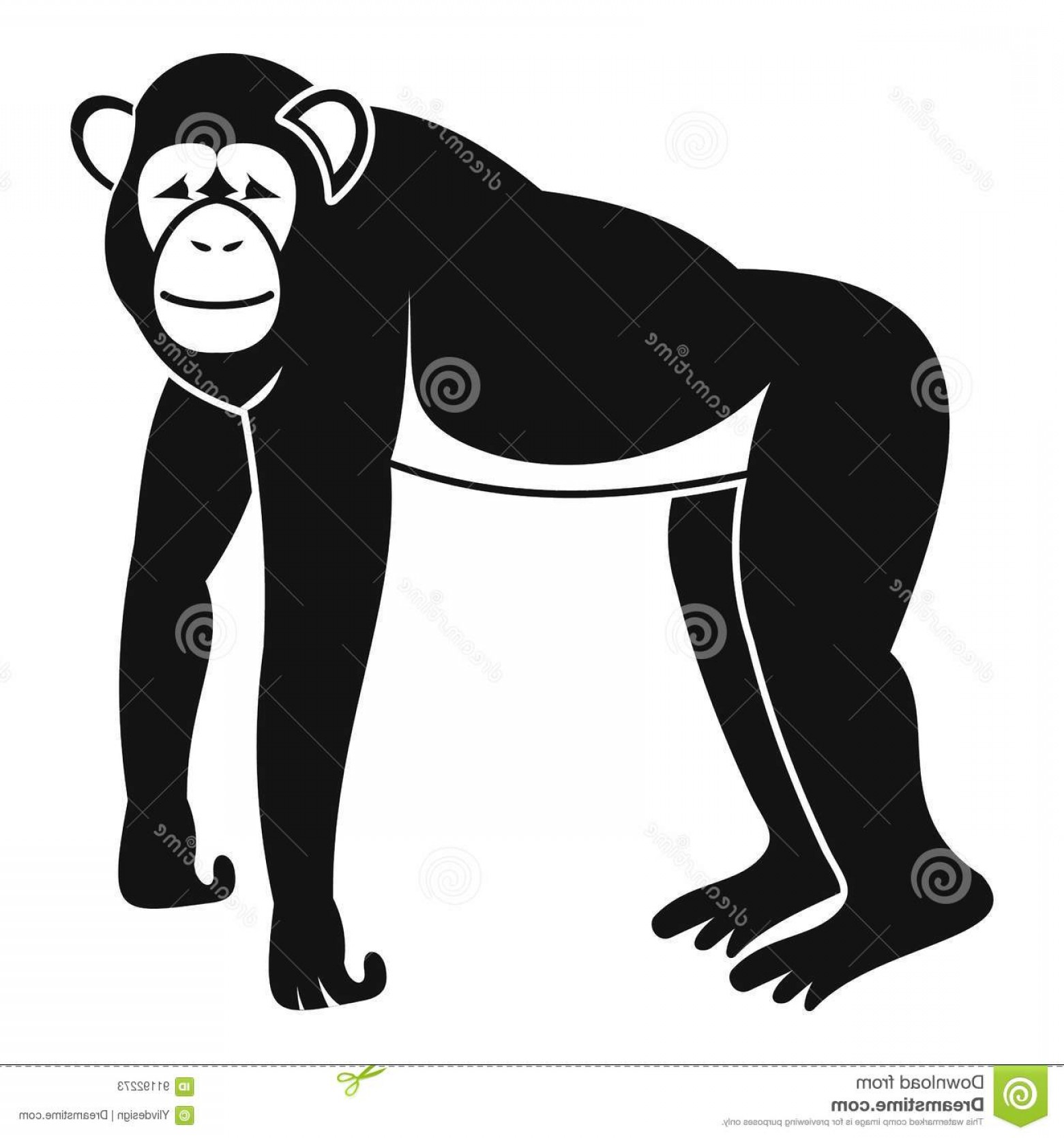 1560x1668 Chimp Back Vector Soidergi