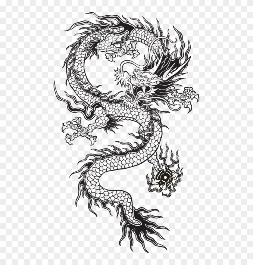 Chinese Dragon Vector At Vectorified Com Collection Of Chinese Dragon Vector Free For Personal Use