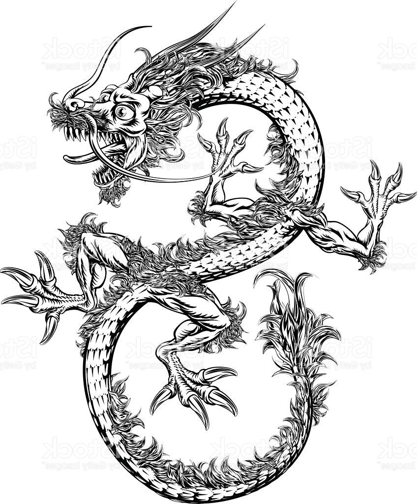 848x1024 Chinese Dragon Vector