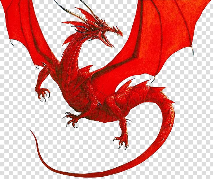 729x613 Dragon Vector Transparent Background Png Cliparts Free Download
