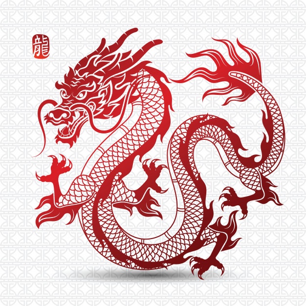 626x626 Dragon Vectors, Photos And Free Download