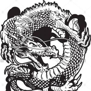 300x300 Stock Image Chinese Dragon Vector Design Newwaysys