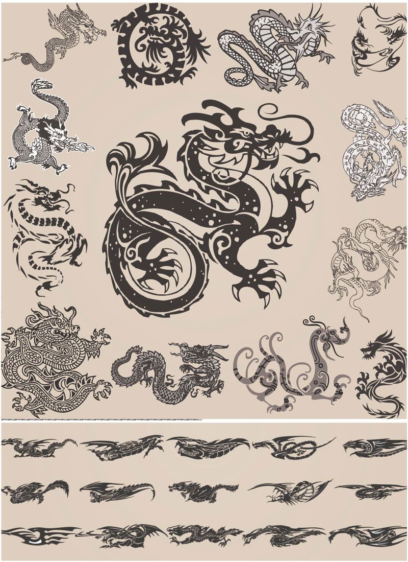 Chinese Dragon Images Ornate Chinese Dragon Vector Free Vector 800x1100 Chinese Dragon Images Ornate Chinese Dragon Vector Free Vector