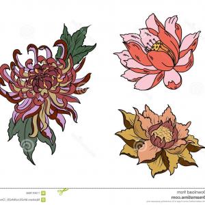 300x300 Colorful Chrysanthemum Flower Vector Chinese Flower Tattoo
