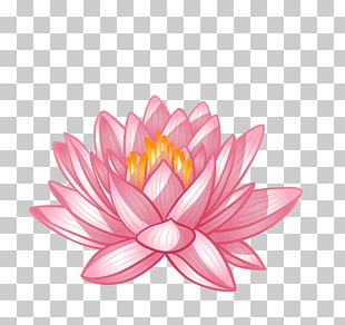 310x292 Poster Spa Pink Chinese Flower Lotus, Pink Lotus Flower Png