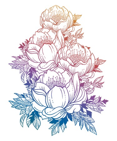 375x450 Beautiful Stem Of Magnolia, Dogrose Or Peony Flowers Vector