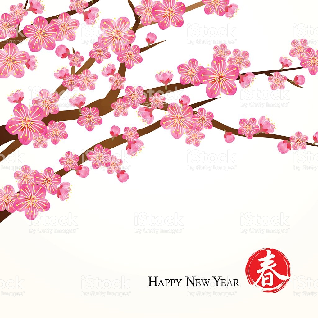 1024x1024 Chinese Flower Clipart