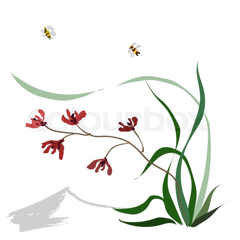 800x800 Hand Drawing Ink Illustration, Vector Stock Vector Colourbox